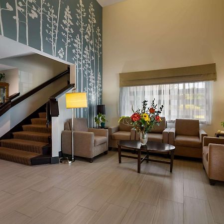 Garner Hotel Londonderry - Manchester By Ihg Exterior photo